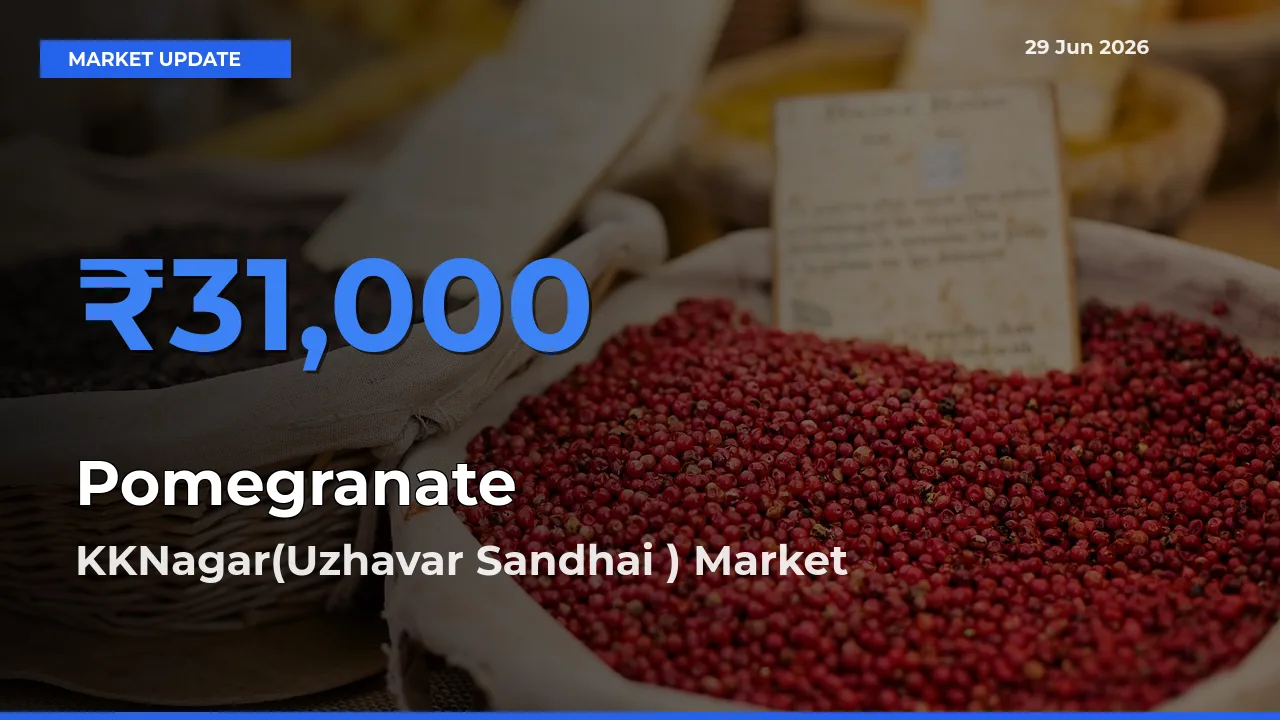 KKNagar(Uzhavar Sandhai ) Tops Pomegranate Rates – June 29 Market Update