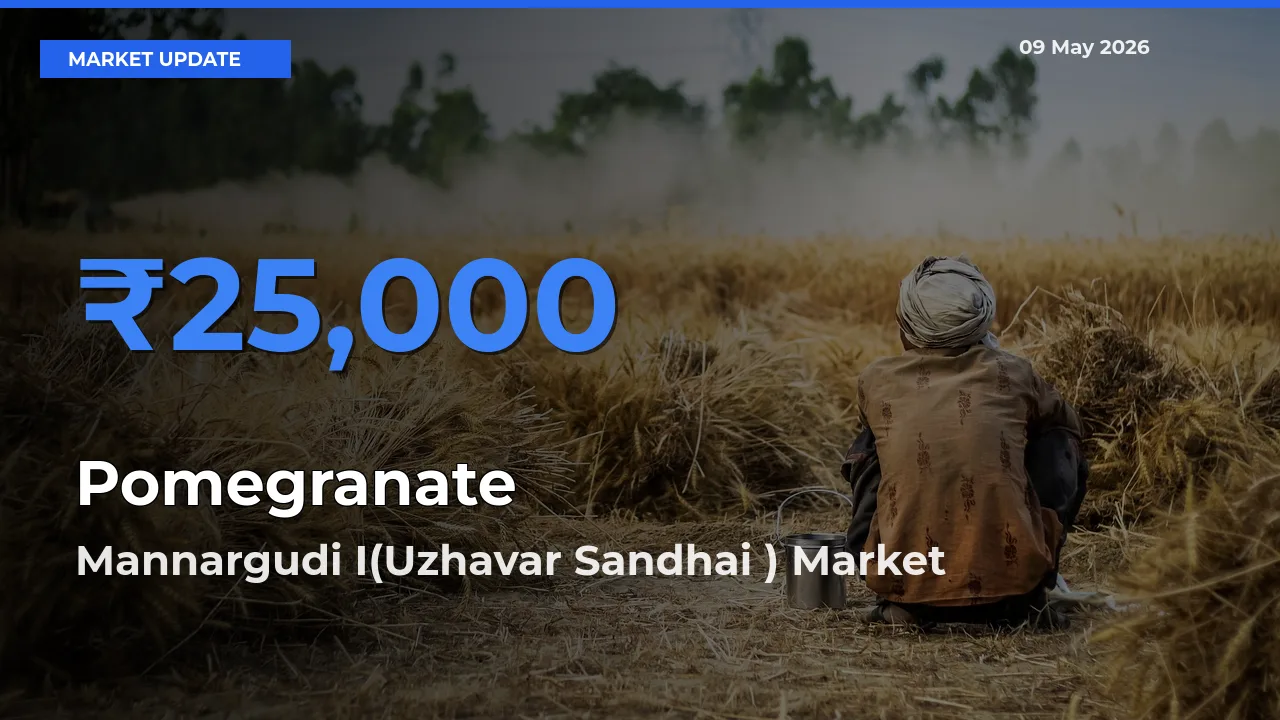 Mannargudi I(Uzhavar Sandhai ) Leads as Top Mandi for Pomegranate Prices