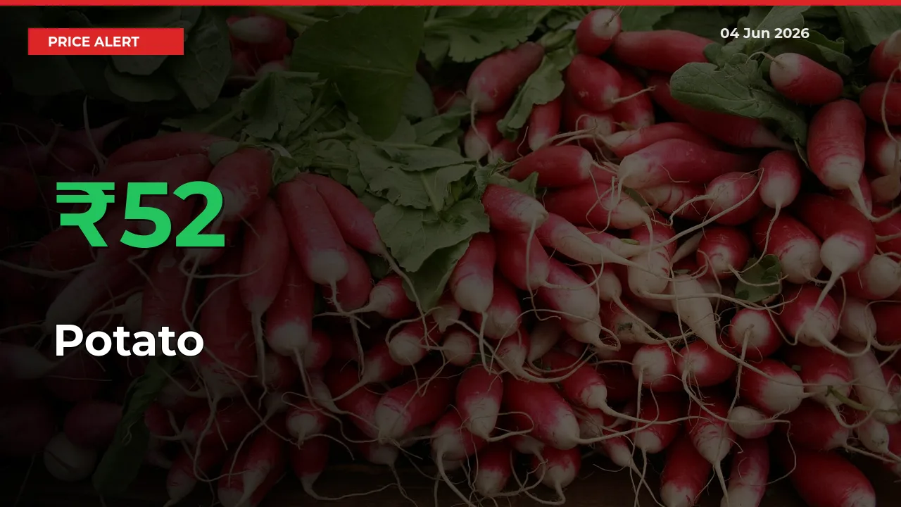 Farmers Cheer as Potato Prices Surge 52.04% in Local Mandis