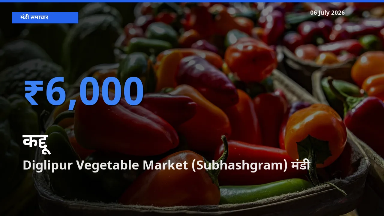 किसानों की पसंद बना Diglipur Vegetable Market (Subhashgram), कद्दू के सबसे अच्छे दाम