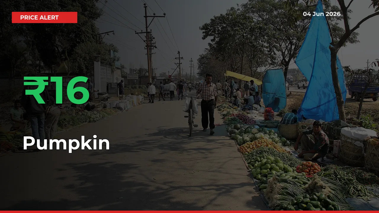 Why Pumpkin Prices Rose 15.57% in a Day at Mandis