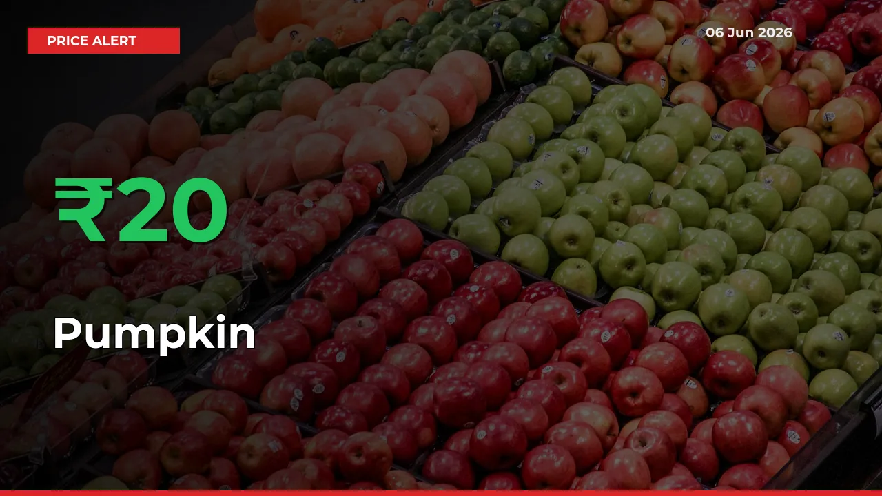 Sudden 20.09% Rally in Pumpkin Prices Across Mandis