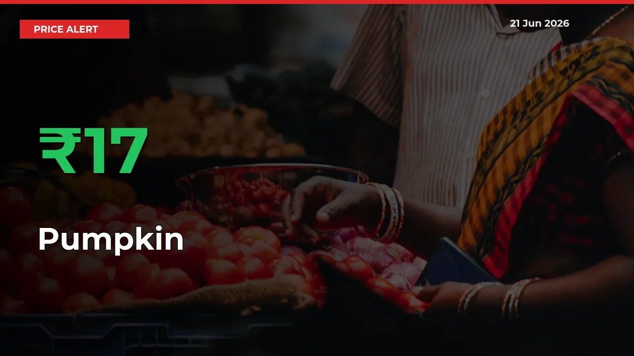 16.59% Spike in Pumpkin Prices – Mandi Sees Sudden Rally
