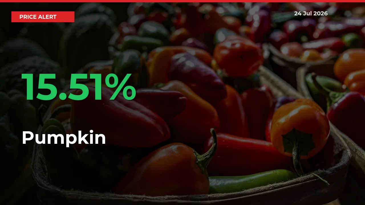 Sharp Jump! Pumpkin Prices Climb 15.51% in 24 Hours at Key Mandis