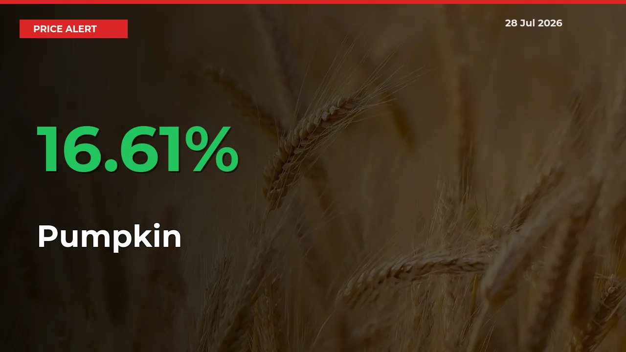 Pumpkin Prices Rise 16.61% in a Day at Major Mandis