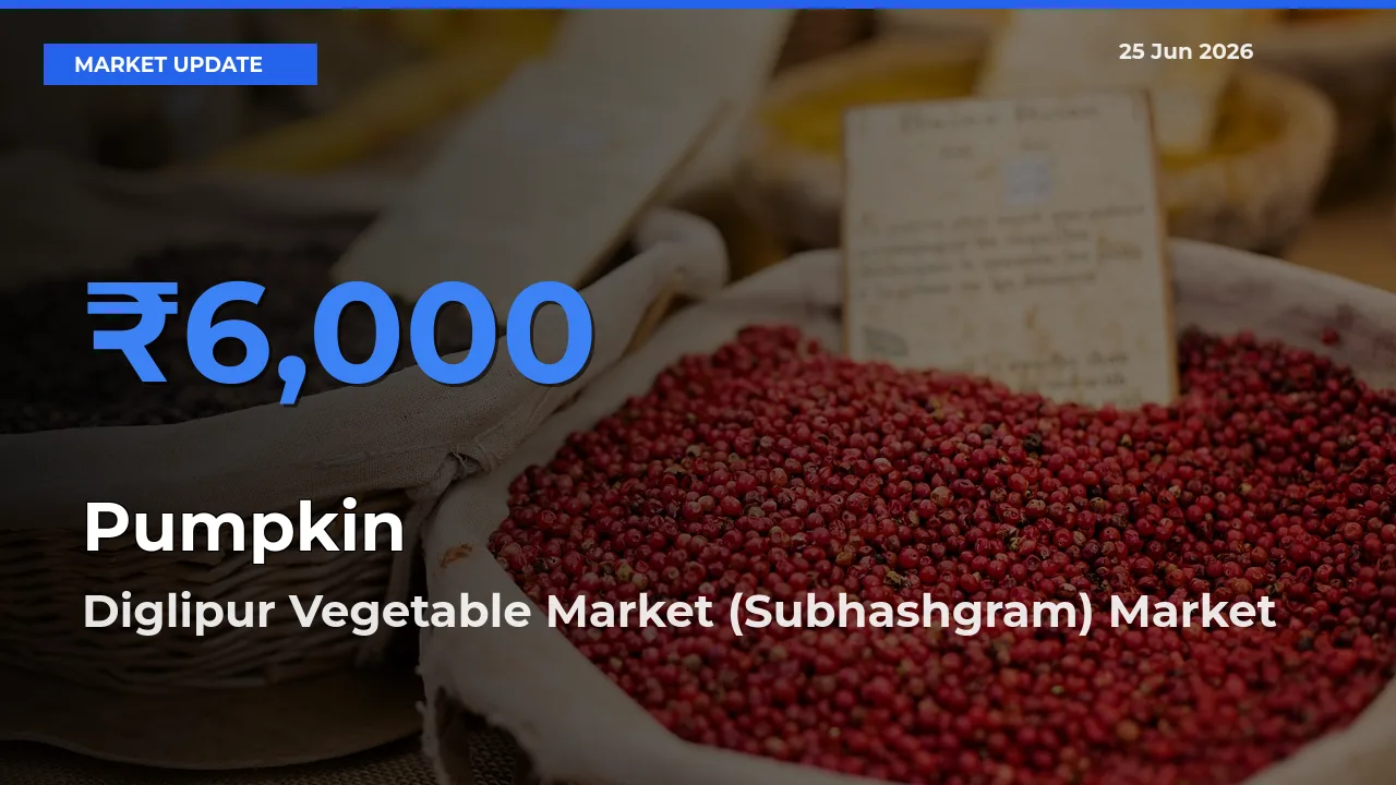 Market Watch: Diglipur Vegetable Market (Subhashgram) Becomes Top Mandi for Pumpkin