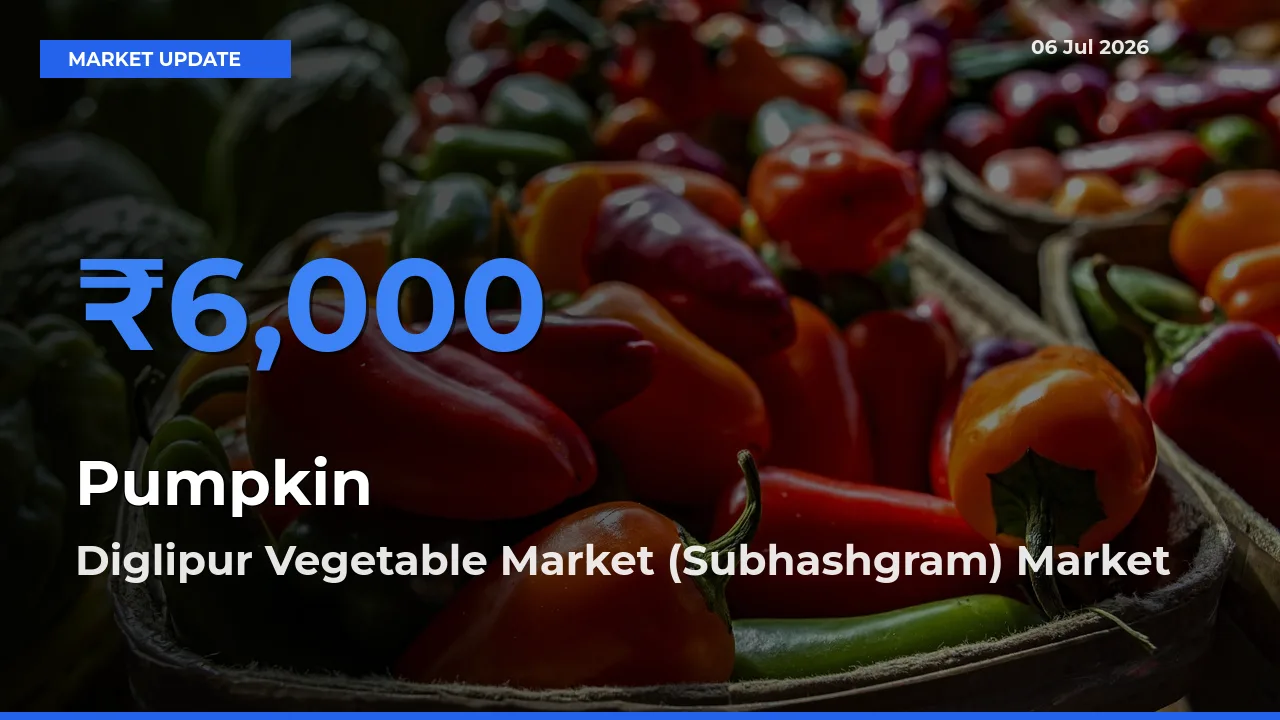 Farmers Prefer Diglipur Vegetable Market (Subhashgram) as Pumpkin Hits Highest Rate
