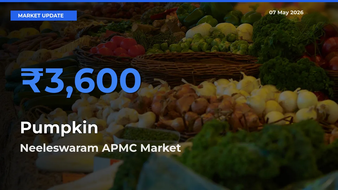 Neeleswaram APMC Emerges as Top Mandi for Pumpkin Prices Today