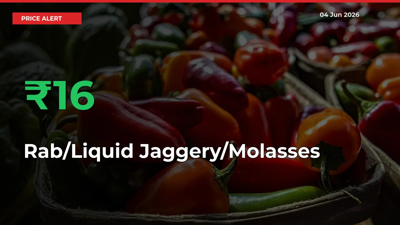 Big Rally! Rab/Liquid Jaggery/Molasses Climbs 15.96% in 24 Hours at Top Mandis