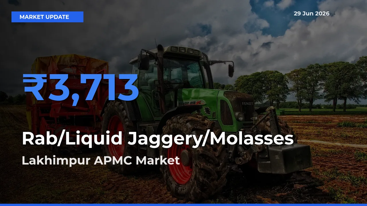 Farmers Prefer Lakhimpur APMC as Rab/Liquid Jaggery/Molasses Hits Highest Rate