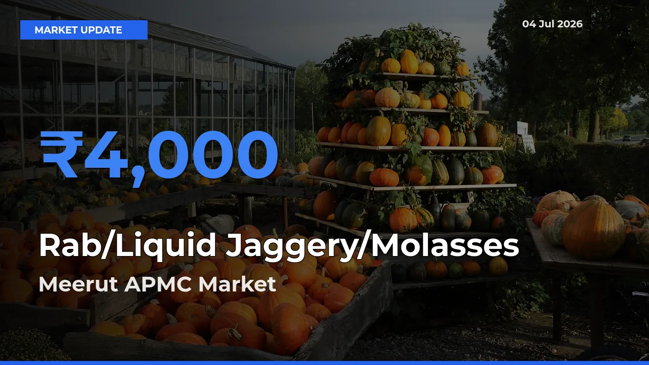 Meerut APMC Leads as Top Mandi for Rab/Liquid Jaggery/Molasses Prices