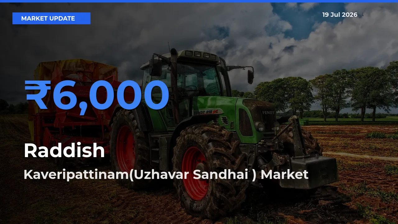 Kaveripattinam(Uzhavar Sandhai ) Emerges as Top Mandi for Raddish Prices Today