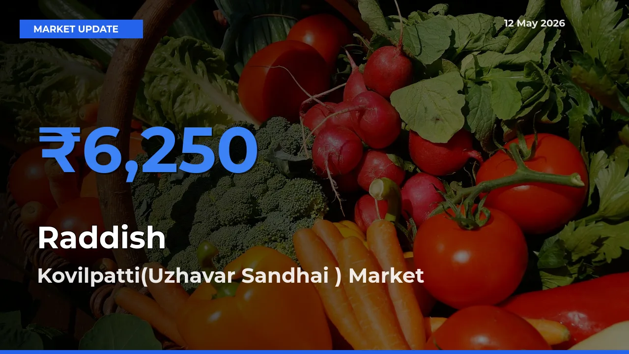 Kovilpatti(Uzhavar Sandhai ) Tops Raddish Rates – May 12 Market Update