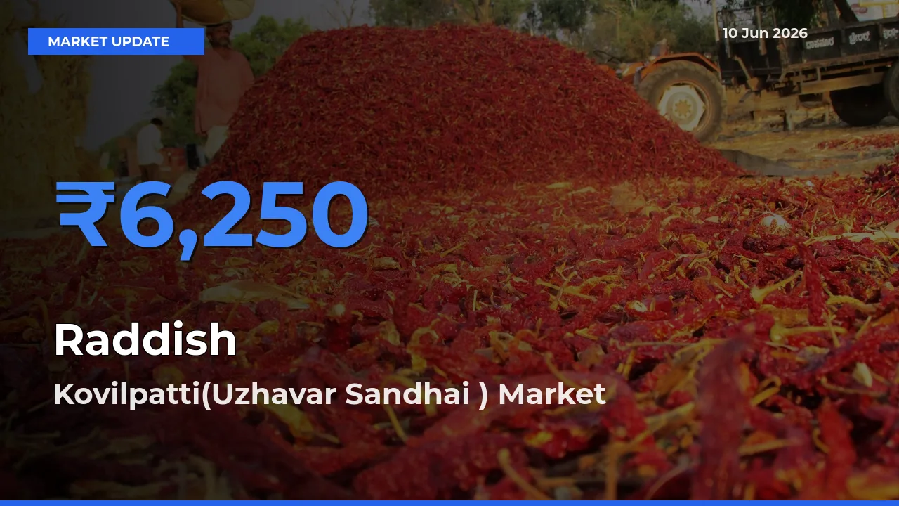 Kovilpatti(Uzhavar Sandhai ) Leads as Top Mandi for Raddish Prices