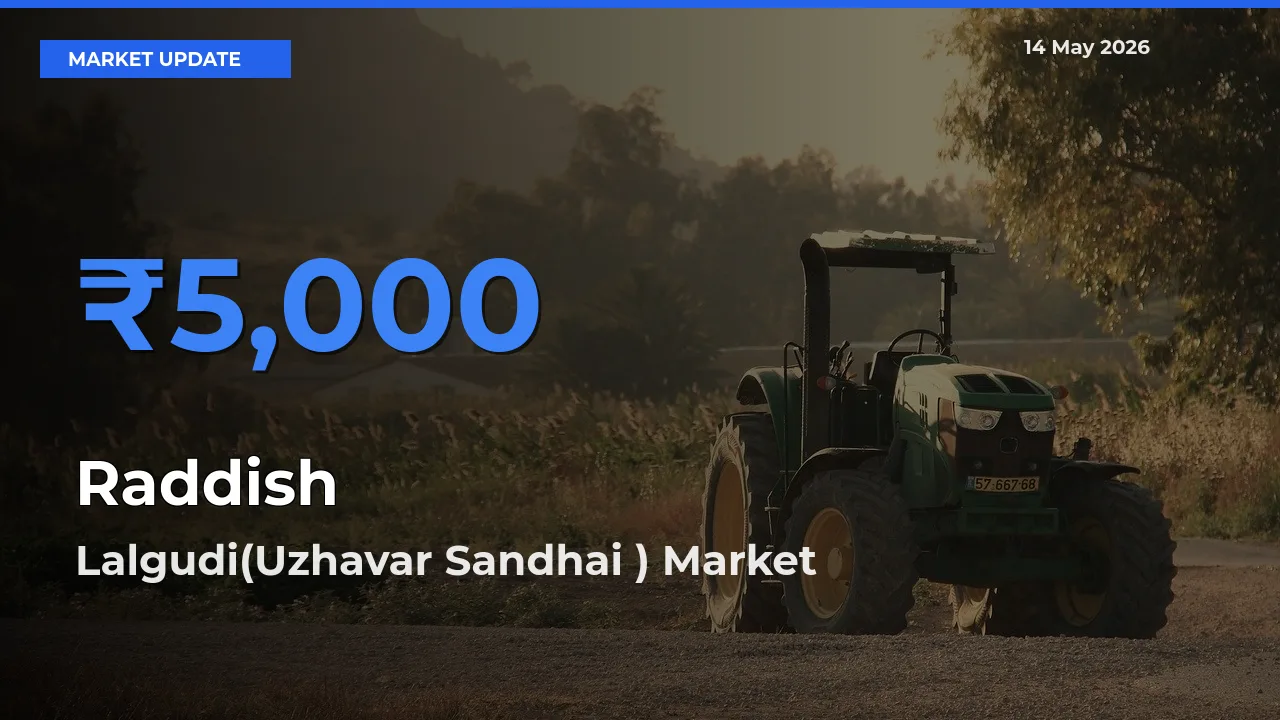 Lalgudi(Uzhavar Sandhai ) Tops Raddish Rates – May 14 Market Update