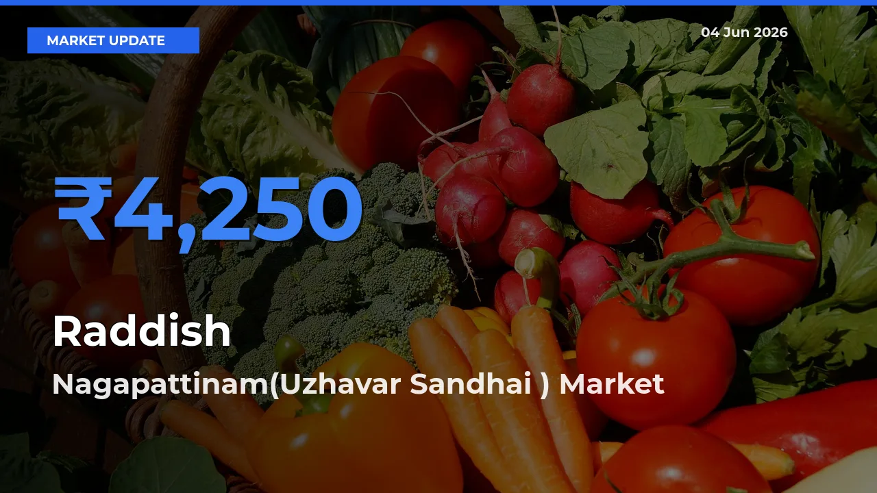 Raddish Mandi Rate Today: Nagapattinam(Uzhavar Sandhai ) Tops the List