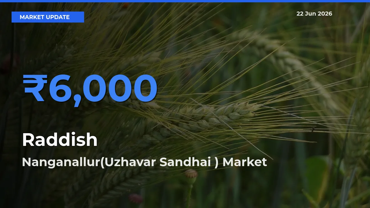 Farmers Prefer Nanganallur(Uzhavar Sandhai ) as Raddish Hits Highest Rate