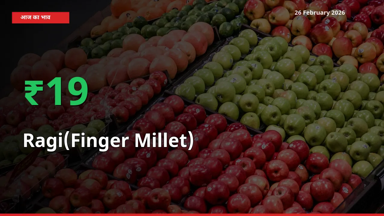 तेज़ तेजी! मंडी में Ragi(Finger Millet) के दाम 18.69% चढ़े