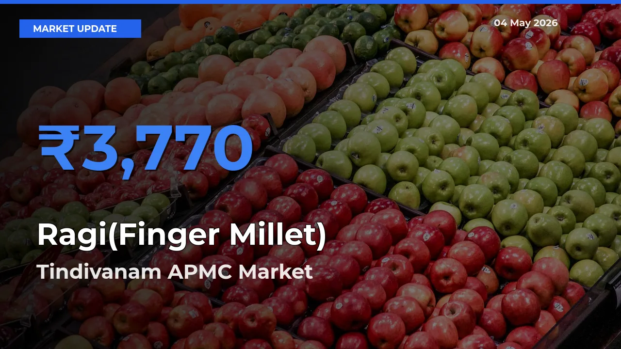 Ragi(Finger Millet) Mandi Rate Today: Tindivanam APMC Tops the List