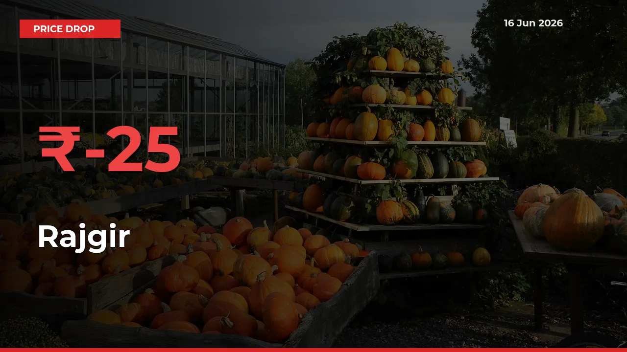 Rajgir Prices Drop 24.76% in 24 Hours at Major Mandis