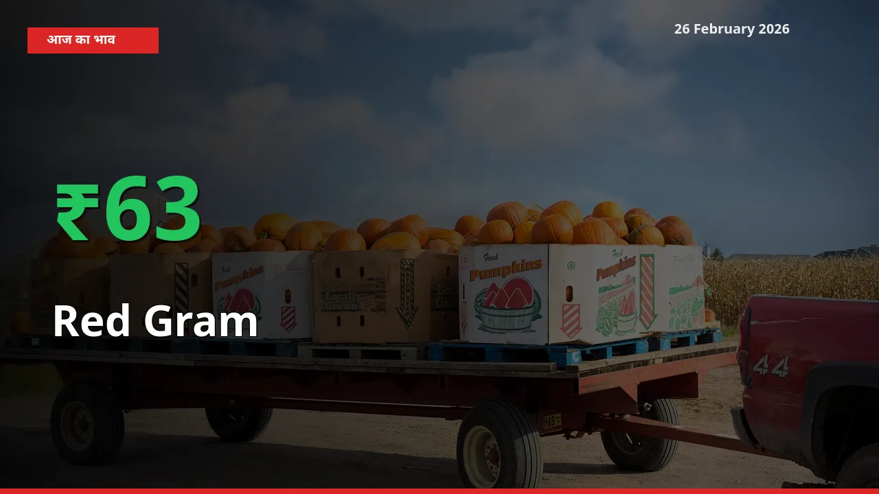 26 February अपडेट: Red Gram के दाम मंडी में 63.23% उछले