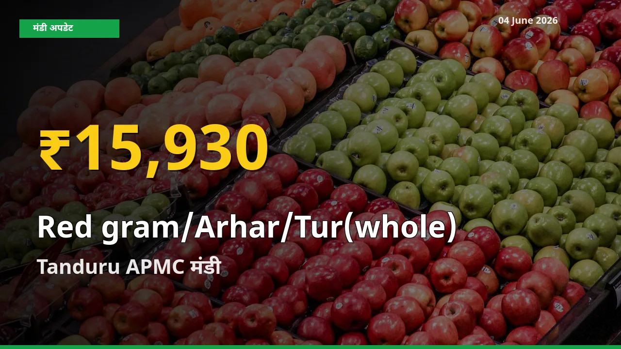 04 June अपडेट: Tanduru APMC में साबुत अरहर के दाम रिकॉर्ड स्तर पर