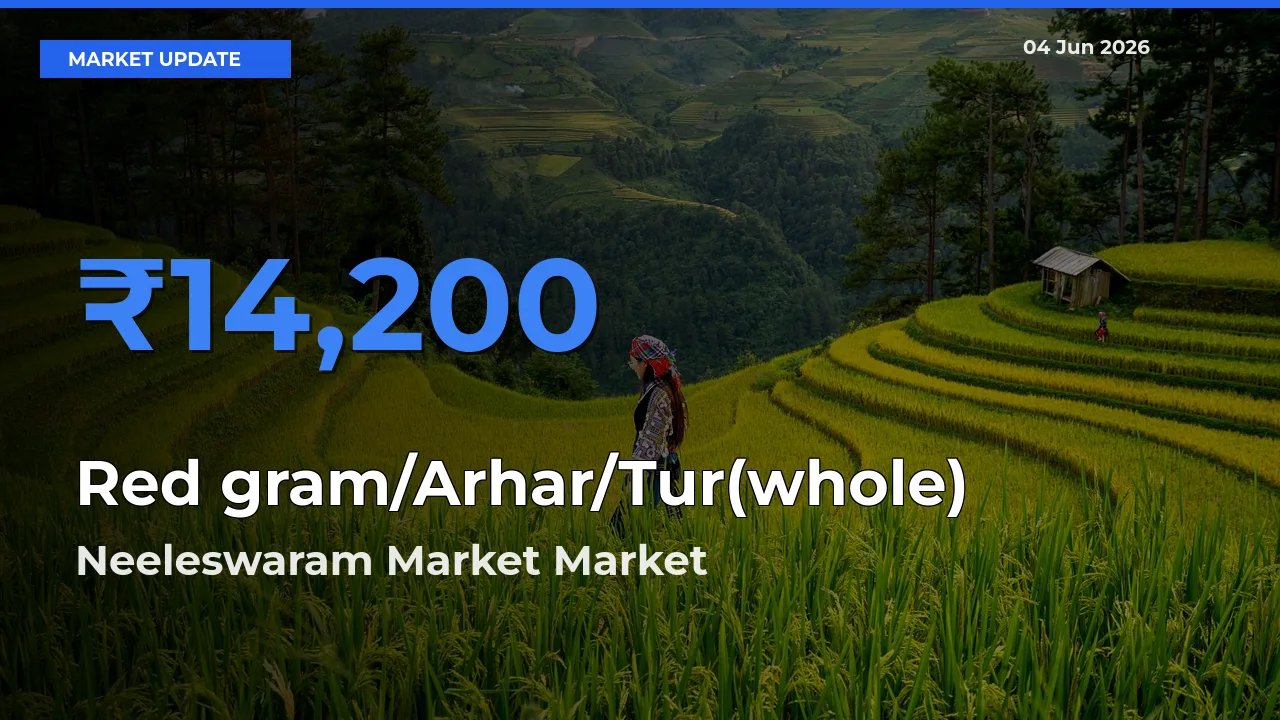 Top Performer! Neeleswaram Market Offers Best Red gram/Arhar/Tur(whole) Price Today