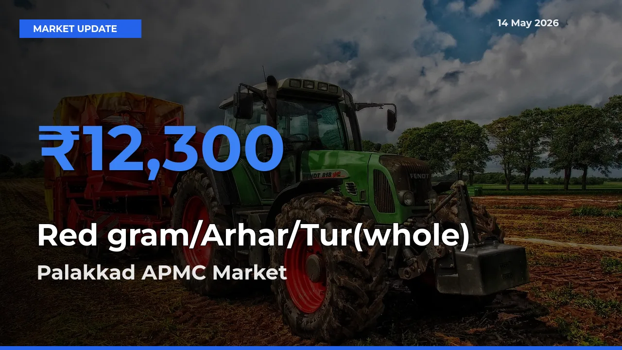 Red gram/Arhar/Tur(whole) Mandi Rate Today: Palakkad APMC Tops the List