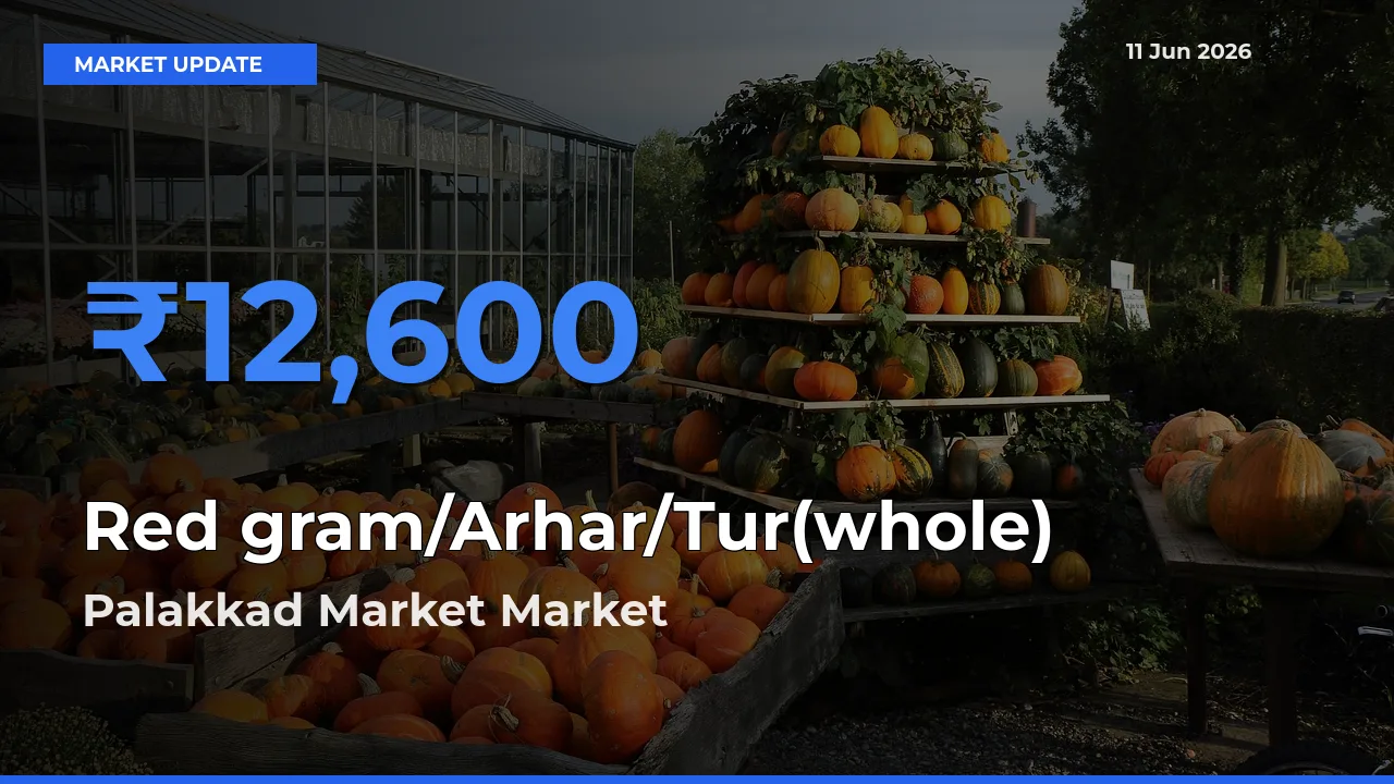 Palakkad Market Tops Red gram/Arhar/Tur(whole) Mandi Rates Today