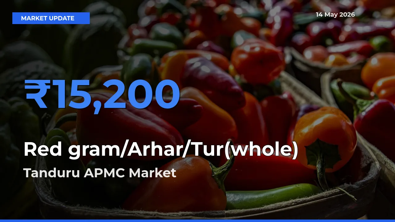 Tanduru APMC Tops Red gram/Arhar/Tur(whole) Rates – May 14 Market Update
