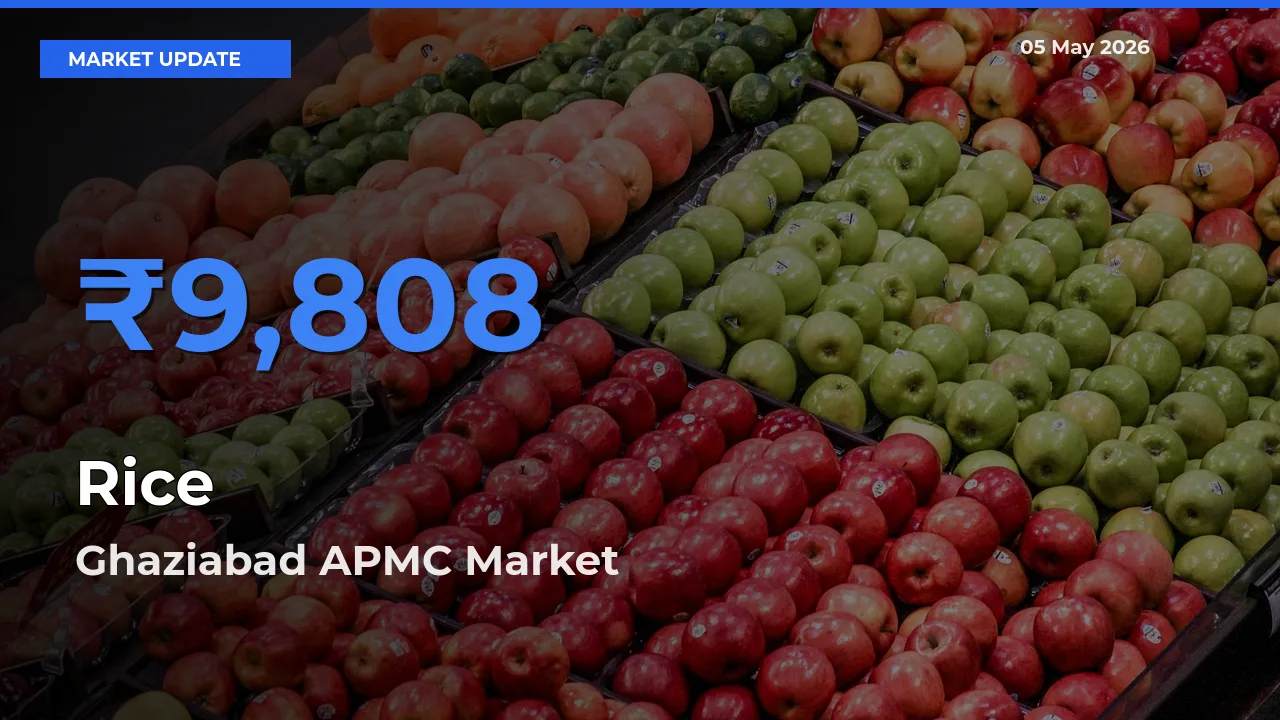 Ghaziabad APMC Tops Rice Rates – May 05 Market Update
