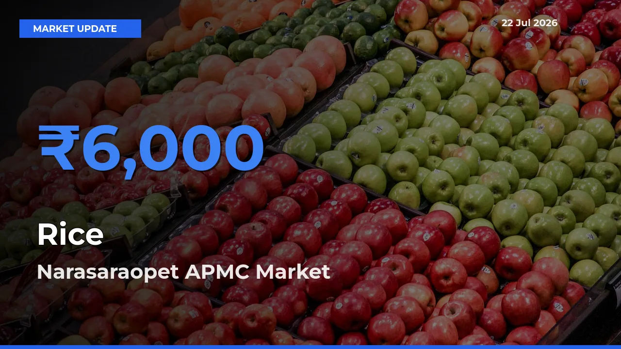 Narasaraopet APMC Records Highest ₹6,000 Rate for Rice