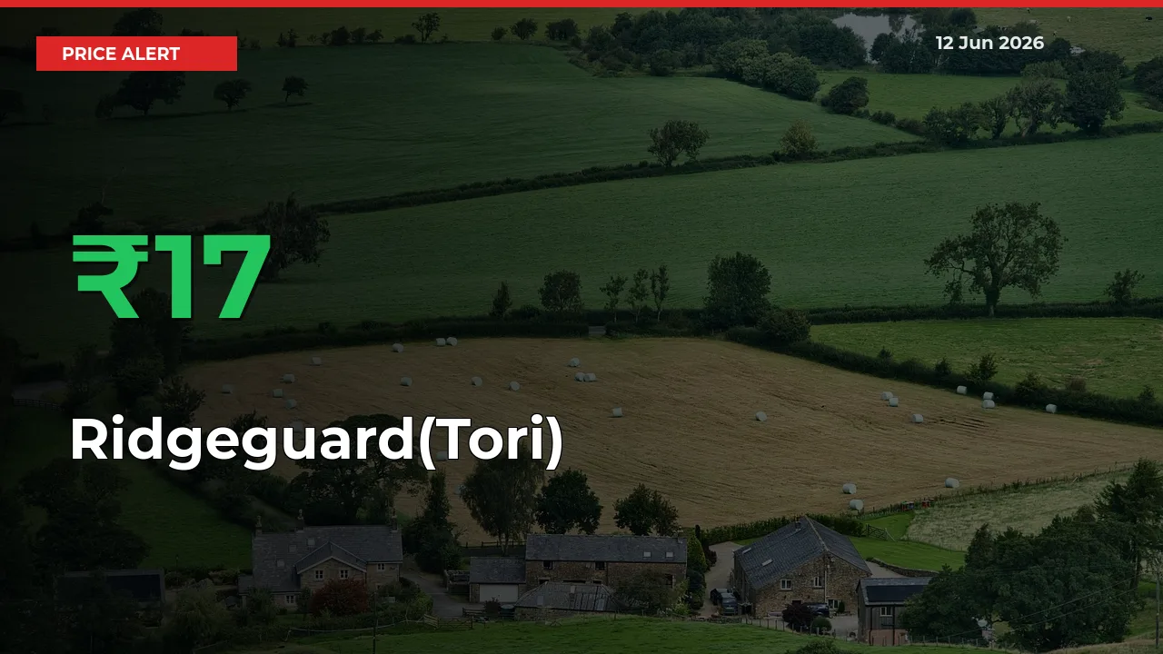 16.64% Spike in Ridgeguard(Tori) Prices – Mandi Sees Sudden Rally