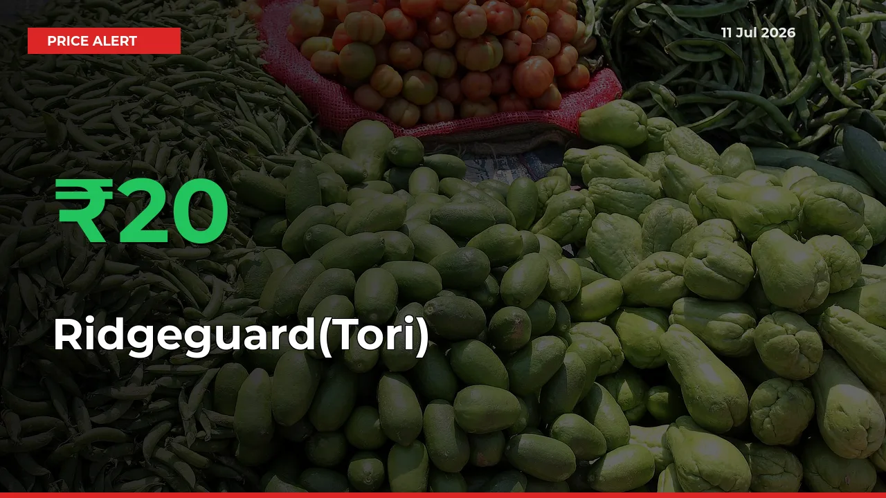 Ridgeguard(Tori) Prices Rise 19.84% in a Day at Major Mandis