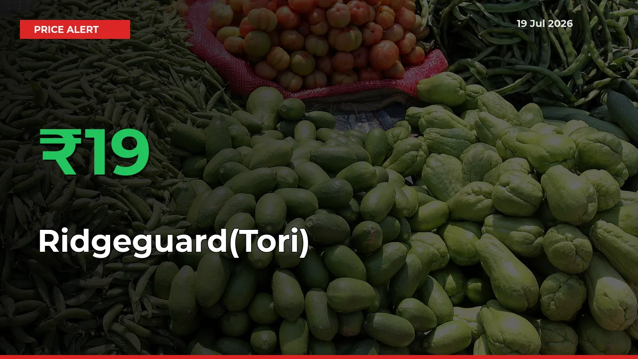 Ridgeguard(Tori) Mandi Rate Today: Prices Jump 18.78% at Market