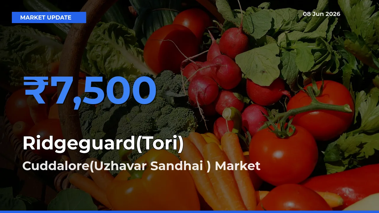 Ridgeguard(Tori) Mandi Rate Today: Cuddalore(Uzhavar Sandhai ) Tops the List