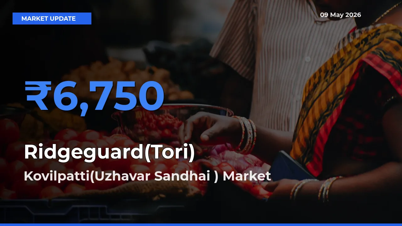 Ridgeguard(Tori) Mandi Rate Today: Kovilpatti(Uzhavar Sandhai ) Tops the List