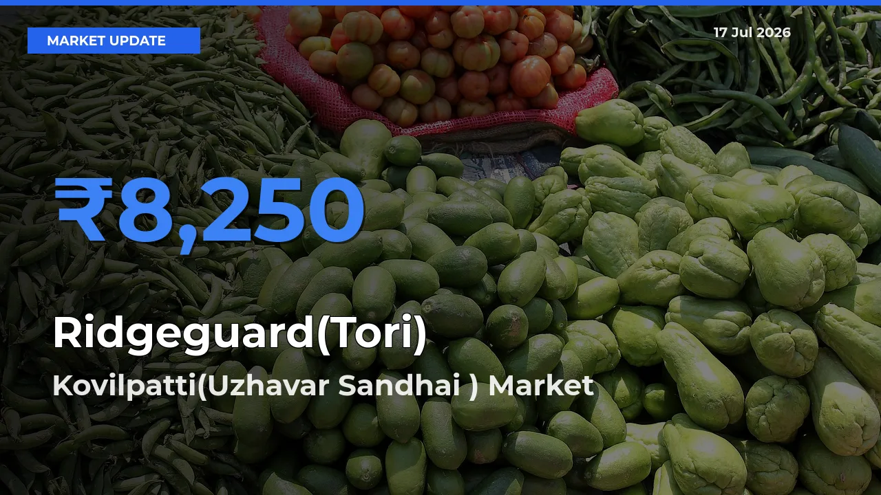 Kovilpatti(Uzhavar Sandhai ) Tops Ridgeguard(Tori) Mandi Rates Today