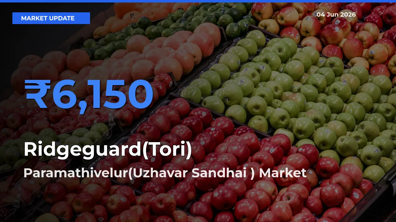 Paramathivelur(Uzhavar Sandhai ) Tops Ridgeguard(Tori) Rates – June 04 Market Update