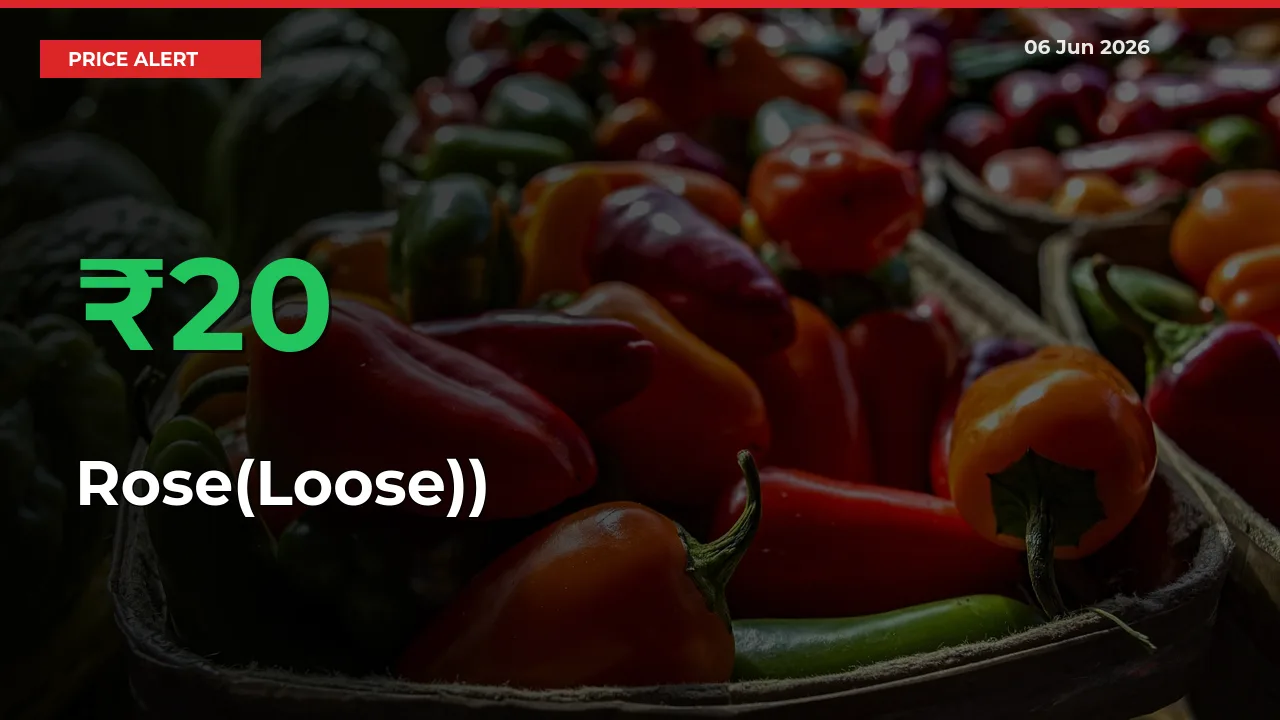 Rose(Loose)) Prices Rise 20% in a Day at Major Mandis