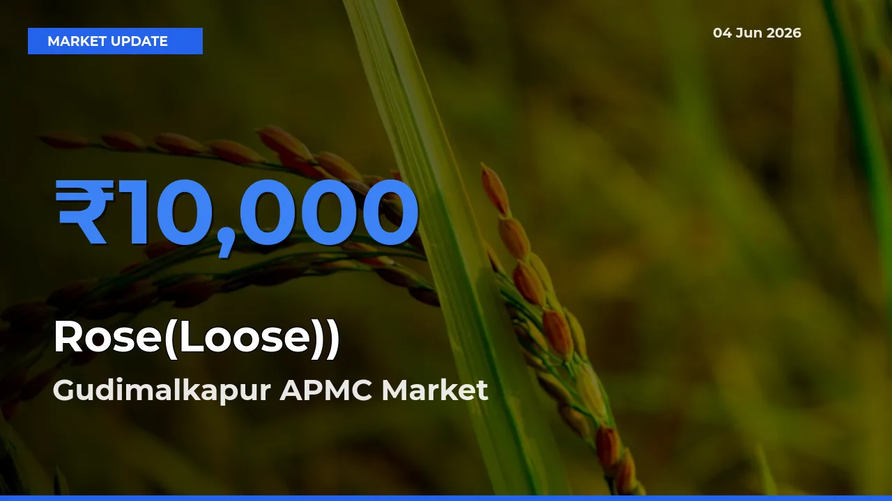 Farmers Prefer Gudimalkapur APMC as Rose(Loose)) Hits Highest Rate