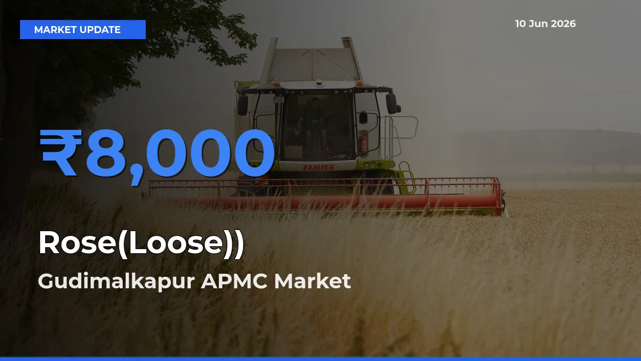 Gudimalkapur APMC Leads as Top Mandi for Rose(Loose)) Prices