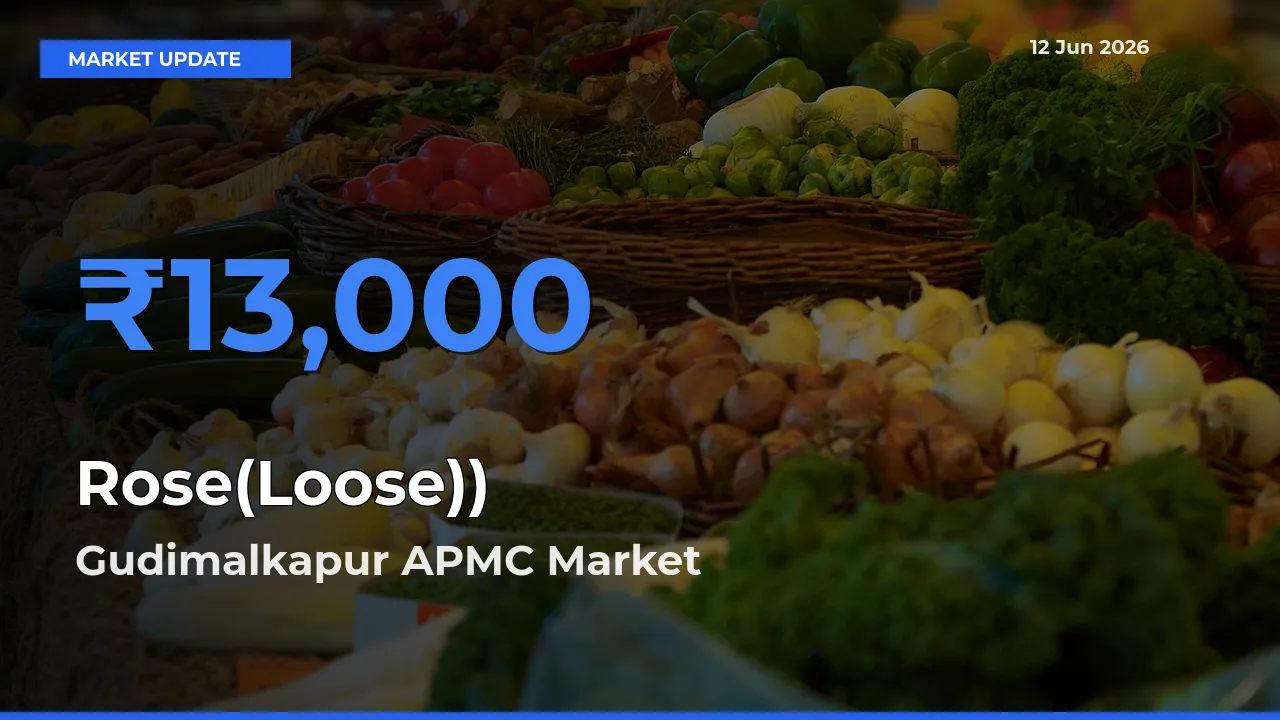 Gudimalkapur APMC Leads as Top Mandi for Rose(Loose)) Prices
