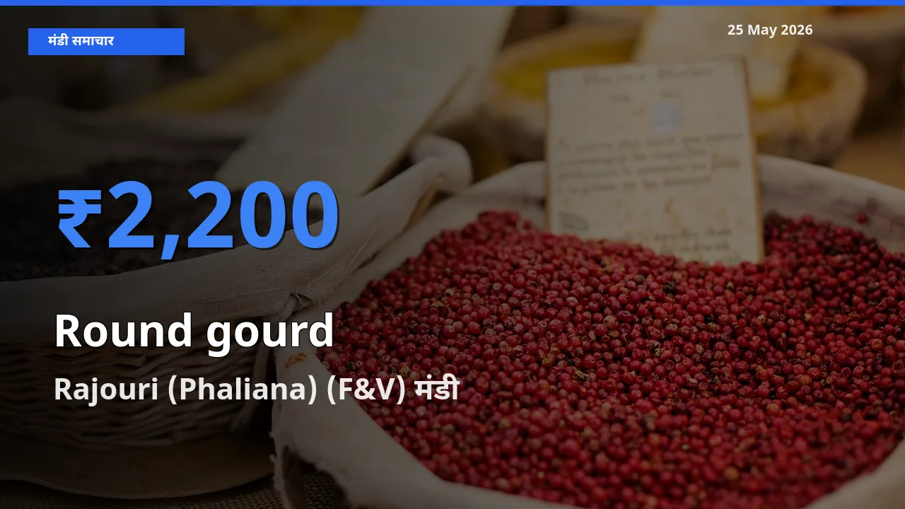 आज गोल लौकी के सबसे ज़्यादा दाम Rajouri (Phaliana) (F&V) मंडी में दर्ज