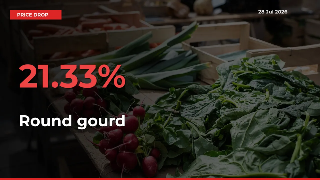Why Round gourd Prices Fell 21.33% in a Day at Mandis