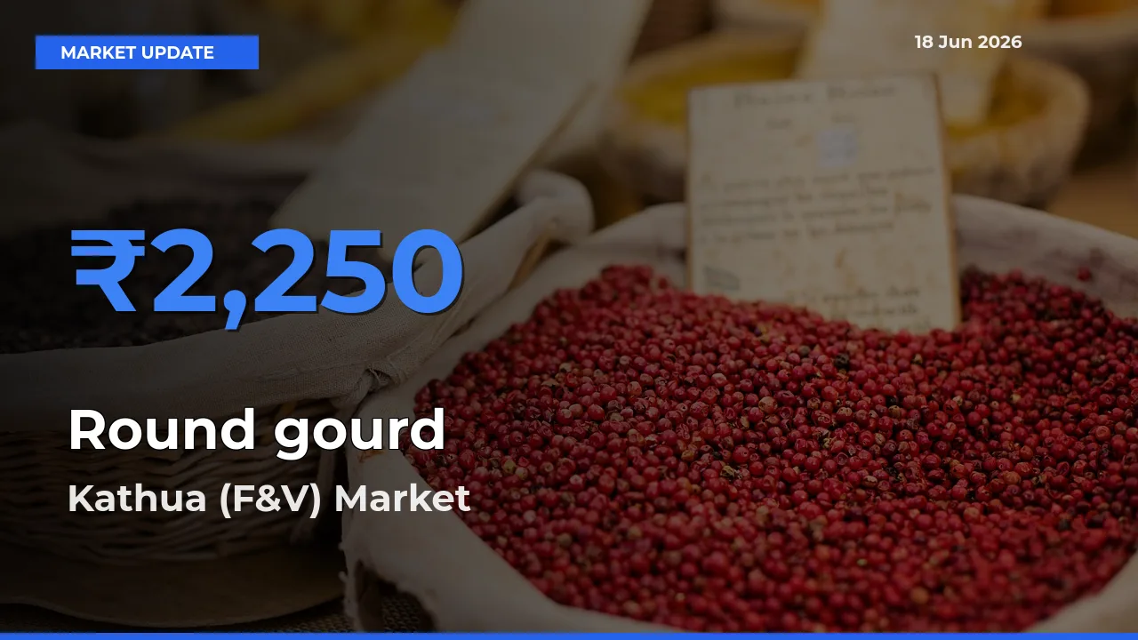 Kathua (F&V) Leads as Top Mandi for Round gourd Prices
