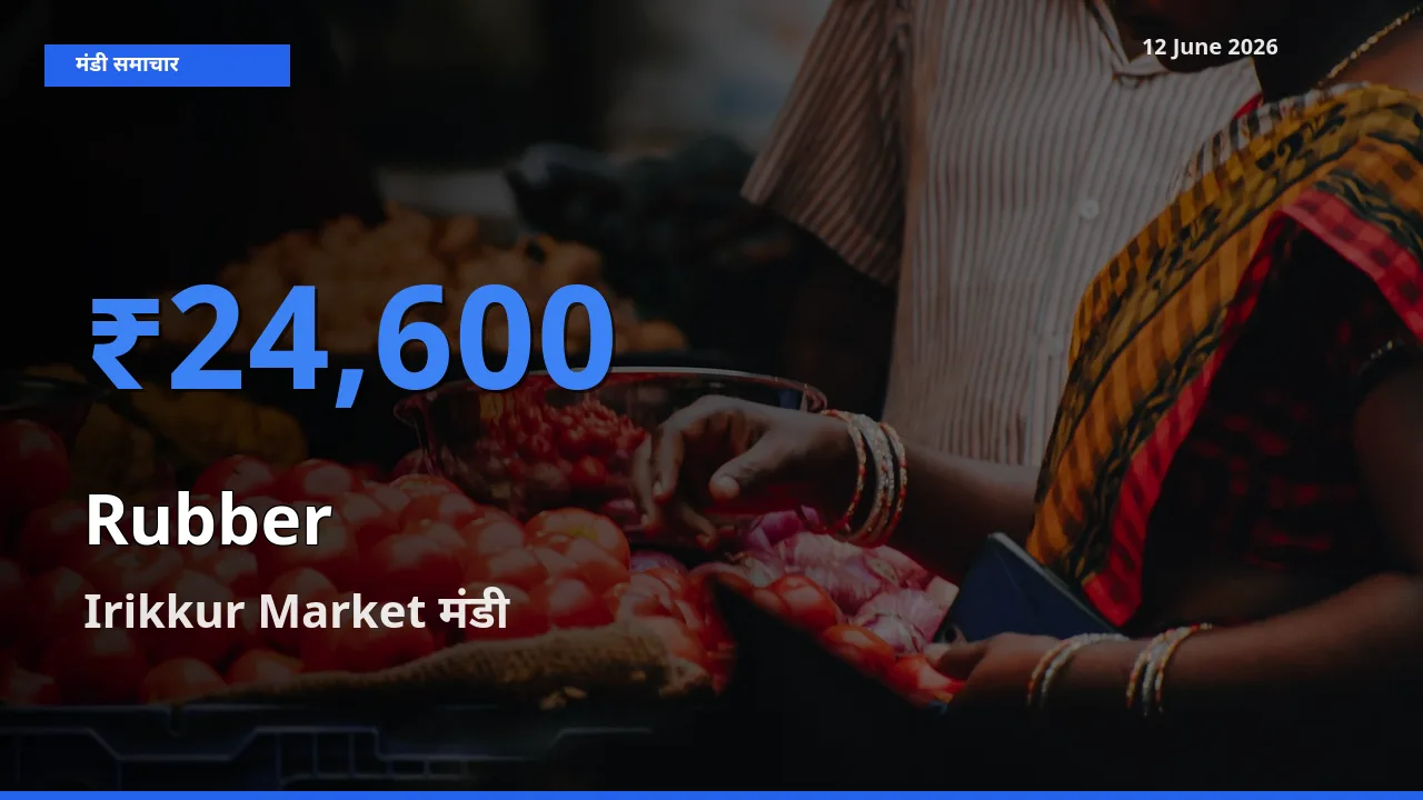 किसानों की पसंद बना Irikkur Market, रबड़ के सबसे अच्छे दाम