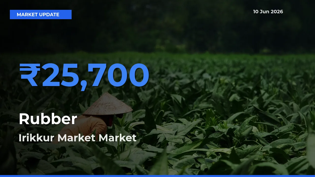 Irikkur Market Tops Rubber Mandi Rates Today