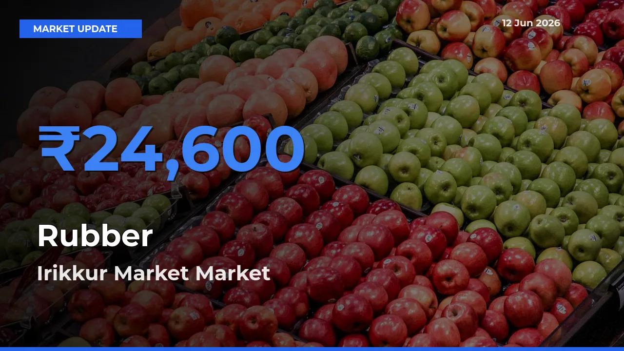 Farmers Prefer Irikkur Market as Rubber Hits Highest Rate