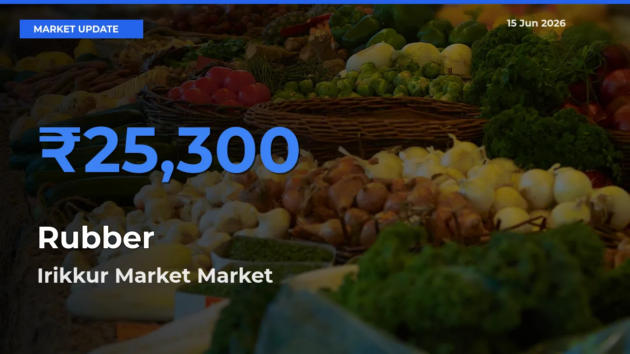 Market Watch: Irikkur Market Becomes Top Mandi for Rubber